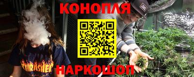 индика Лесосибирск