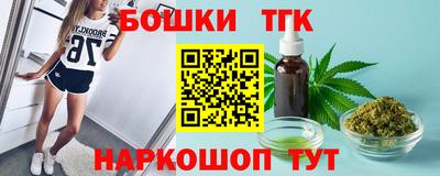 индика Лесосибирск