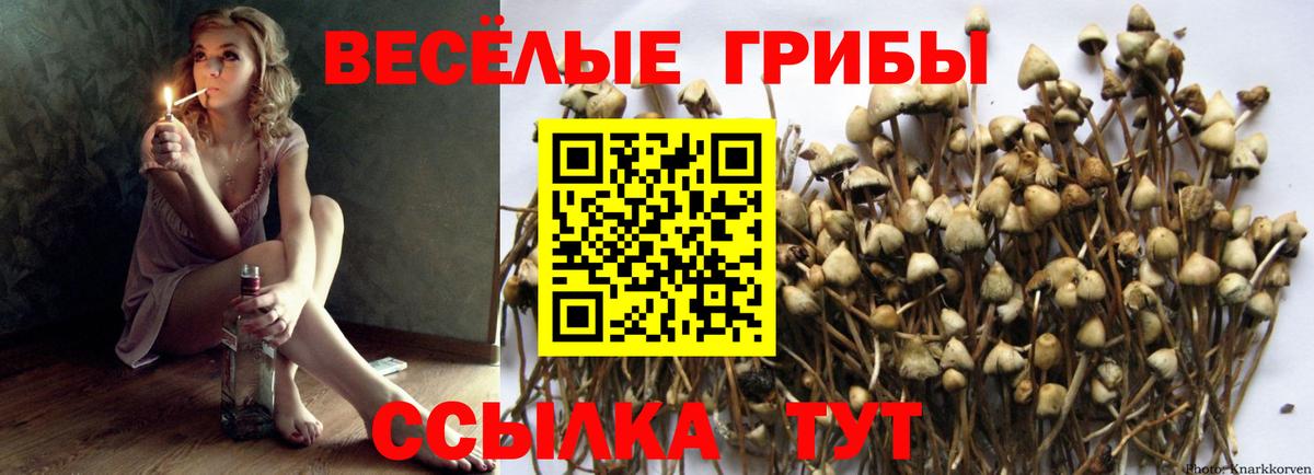 Псилоцибиновые грибы Magic Shrooms  Вход с VPN  наркота  Дальнереченск 